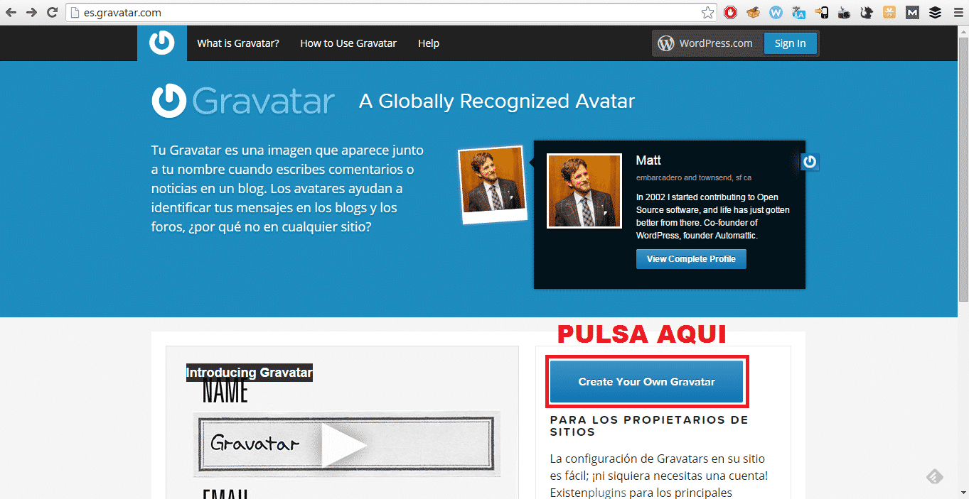 Gravatar 1