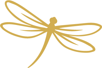 Libélula - Marketing para psicólogos