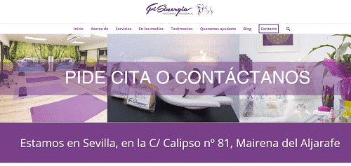 fisinergia ejemplo pagina contacto